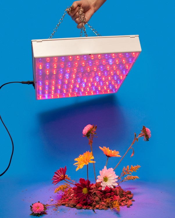 Olivia locher how to